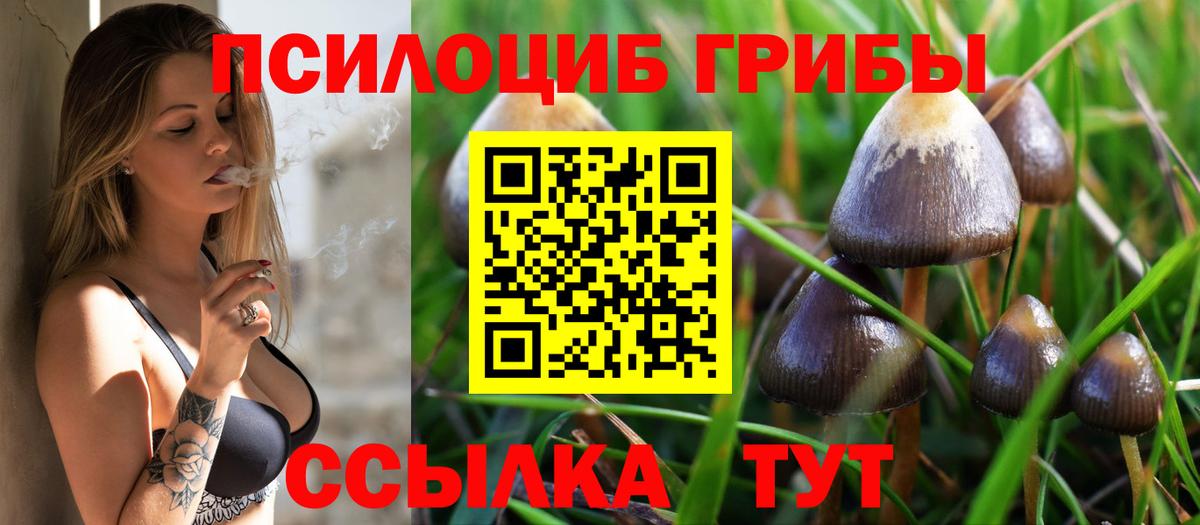 Тосно  Псилоцибиновые грибы мухоморы  Вход с VPN 