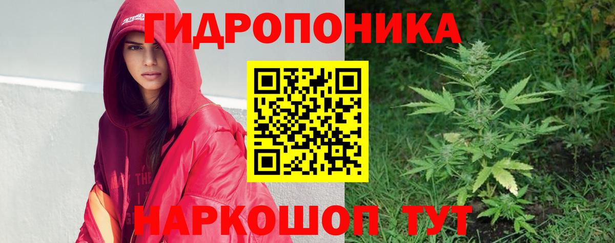 Бошки Шишки VHQ  Вход с VPN  Тосно  Бошки Шишки конопля 